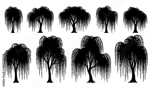 Willow tree silhouettes vector set with elegant drooping branches in black minimalist style