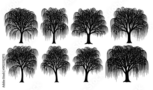 Artistic willow tree silhouette vector set for seasonal landscape and botanical design