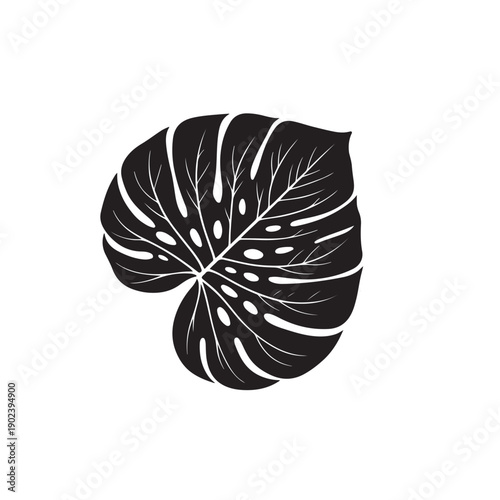 Black Monstera Deliciosa Leaf Silhouette with Veins