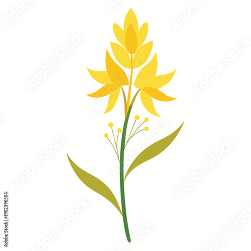 yellow asphodel flower silhouette with branch on white background