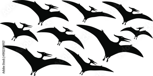 Pterodactyl dinosaur silhouettes flying in various poses, prehistoric reptile wildlife collection, isolated black vector illustration for paleontology and fantasy design