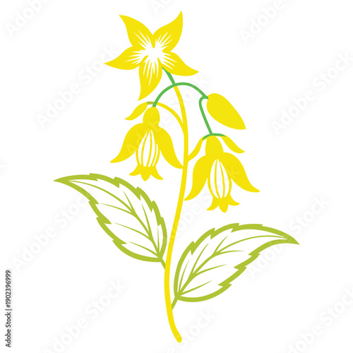 yellow archangel flower line art with branch on white background
