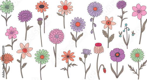 Large Set of Colorful Hand Drawn Wildflower Illustrations Featuring Diverse Floral Species Blooms and Garden Plants for Summer Nature Design