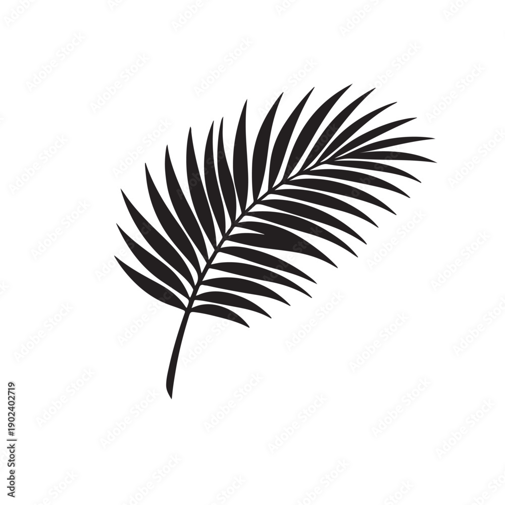 Fototapeta premium Black Palm Frond Silhouette Vector