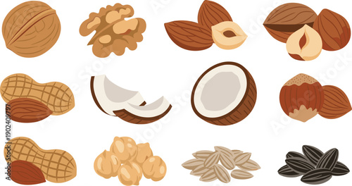 Mixed Nuts and Seeds Illustration Vector Set with Walnut Almond Hazelnut Peanut Coconut Sunflower and Healthy Natural Food Elements