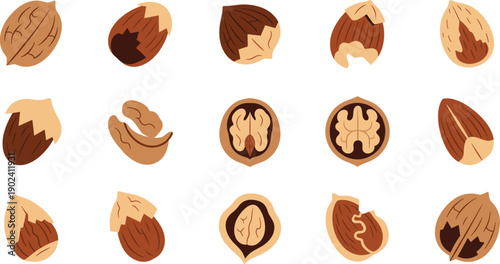 Assorted Whole and Cracked Nuts Illustration Vector Set with Almond Walnut Hazelnut Pecan Natural Healthy Snack Elements