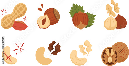 Assorted Nuts Illustration Vector Set with Peanut Almond Hazelnut Walnut Cashew Whole and Cracked Healthy Natural Food Elements