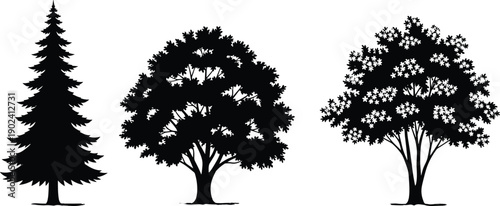 WebVector silhouette illustration collection of various tree types including a tall evergreen pine and broadleaf deciduous trees isolated on white background for landscape design.