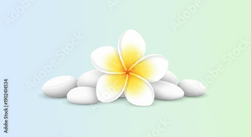 Smooth white pebbles topped with a delicate white and yellow flower