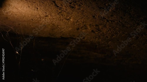 A stone ceiling in a dark cellar or old basement with a glowing industrial lamp and thick cobwebs