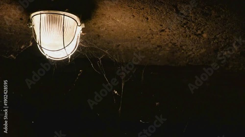 A stone ceiling in a dark cellar or old basement with a glowing industrial lamp and thick cobwebs