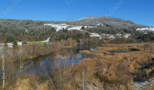 Biotop am Feistritzer Draustausee / Kärnten / Österreich