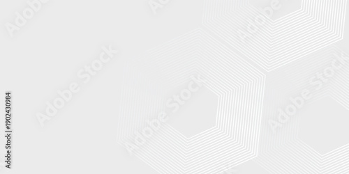Hexagon white gray wave light technology texture background. Abstract big data digital concept simple art modern abstract