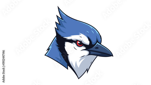 Aggressive blue jay bird head illustration with a fierce expression and sharp beak used for sports mascot designs.
