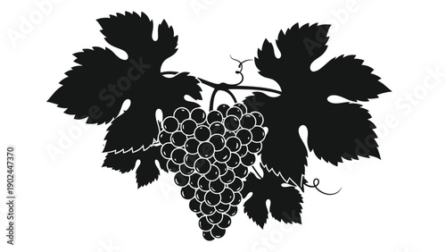 Simple black and white silhouette of a bunch of grapes with large leaves and a curly vine for winery labels and organic food branding.