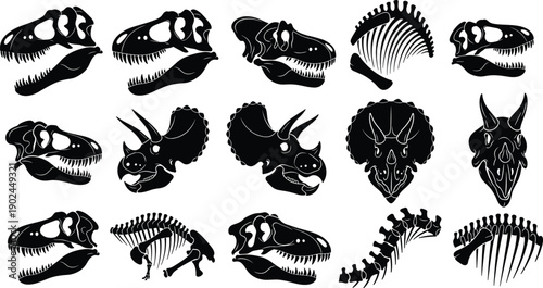 Collection of dinosaur skull and skeleton silhouettes including triceratops and tyrannosaurus rex fossils, cad drawing flat vector illustration, prehistoric set