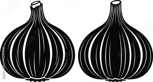 Black and white garlic bulb silhouette vector illustration set with detailed line art isolated on white background for kitchen decor organic food labels and cooking concepts