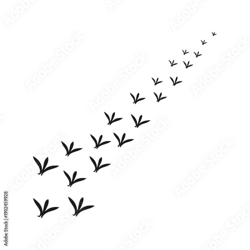 Bird Footprints Trail Silhouette Vector