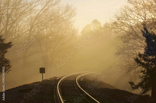 road in the fog