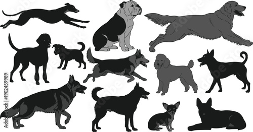 Collection of black dog breed silhouettes and grey scale canine illustrations featuring german shepherd bulldog golden retriever and chihuahua isolated on white background for pet designs