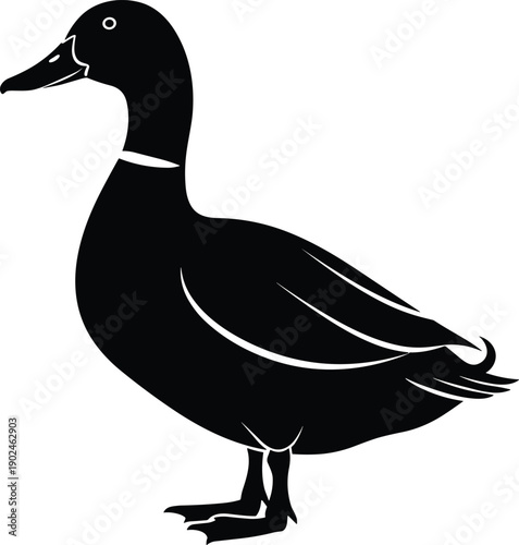 Black Silhouette Vector Illustration of a Duck Standing in Profile View for Farm Animal Nature Wildlife Lake and Poultry Industry Graphic Design Projects