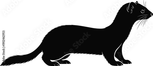 Black Silhouette Vector Illustration of a Ferret Weasel or Marten for Wildlife Nature Forest Animals Pest Control and Outdoor Wilderness Graphic Design Projects