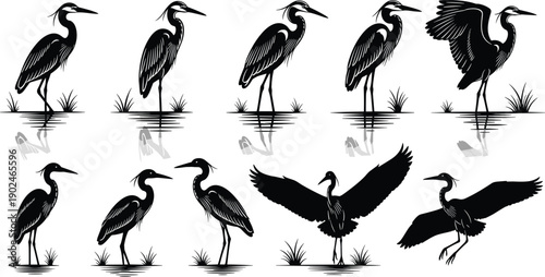 Heron bird silhouette collection, elegant wading birds poses set, standing and flying waterfowl black vector illustration isolated on white background