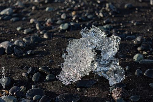 A crystalline shard of clear ice rests on the dark volcanic pebbles of Diamond Beach near Jökulsárlón glacier lake as soft afternoon light reveals its delicate sculpted textures