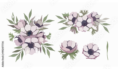 Boho Watercolor Anemone Floral Vector Set with Hand Painted Flowers and Leaves