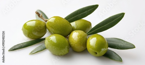 Wallpaper Mural The Olives on a Branch with Glossy Leaves on White Background for Cooking Torontodigital.ca