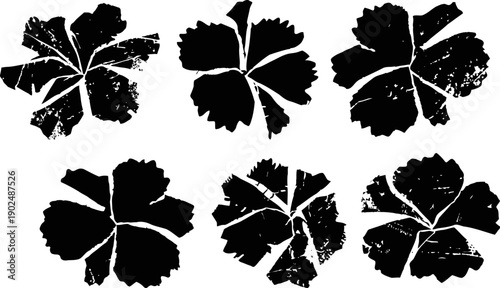 Set of distressed hibiscus flower silhouettes tropical floral design elements with grunge texture