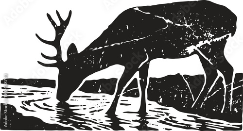 Deer drinking water by the lake silhouette, nature wildlife animal, peaceful scenery outdoors