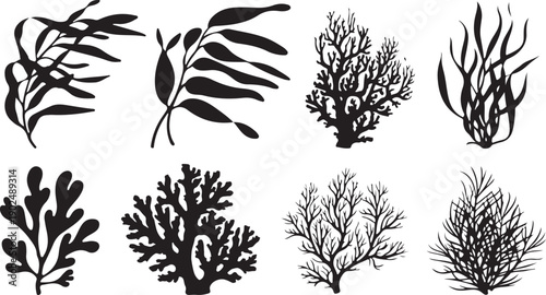 Collection of eight distinct black silhouette underwater plants and corals