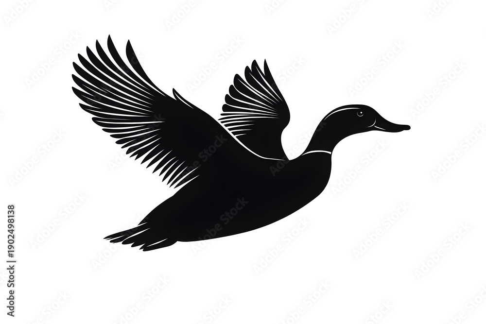 Obraz premium Elegant Duck in Flight: A sleek, monochrome depiction of a duck soaring gracefully through the air, wings fully extended in mid-flight, a symbol of freedom and avian beauty.