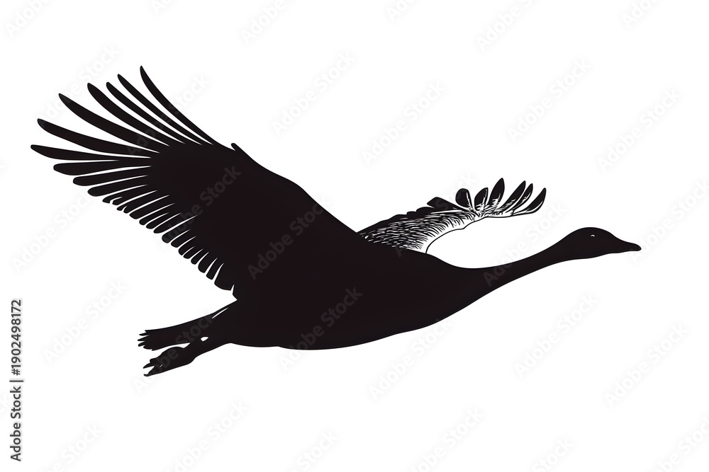 Obraz premium Soaring Silhouette: A graceful swan glides through the sky, its form etched in shadow, a symbol of freedom and serenity. 