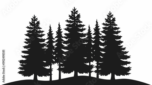 Pine Forest Silhouette Illustration with Evergreen Fir Trees on a Hillside Background
