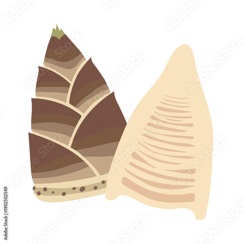 фотографія Whole and Sliced Bamboo Shoot Illustration for Cooking