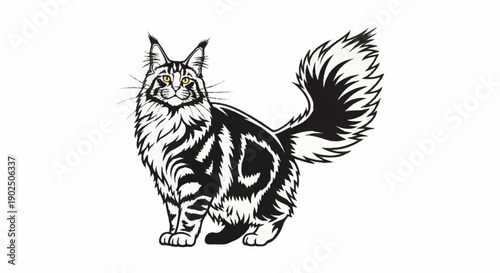Maine Coon Cat Illustration Black and White.