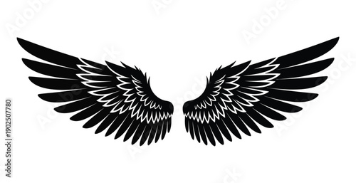 Black Angel Wings