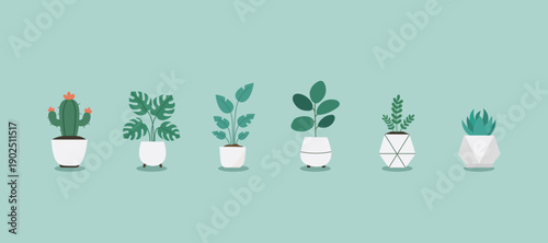 Modern Indoor Plants And Minimal Pot Vector Collection