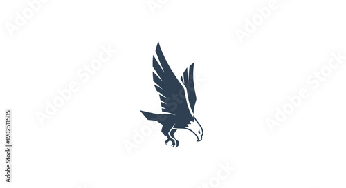 Majestic Flying Eagle Bird Silhouette Logo Icon, isolated white background