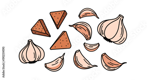 Collection of garlic bulbs and cloves with brown toasted bread triangles for culinary ingredients and food cooking concept.