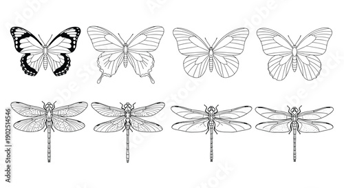 Collection of butterfly and dragonfly illustrations in various line art styles, suitable for entomology or nature themed projects.