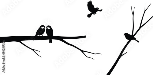 Bird silhouette illustration with perched and flying poses on tree branches, vector design, editable, isolated nature wildlife graphic