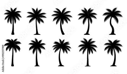 Black Coconut Palm Tree Icon Set Vector Silhouette for Nature and Tropical Design