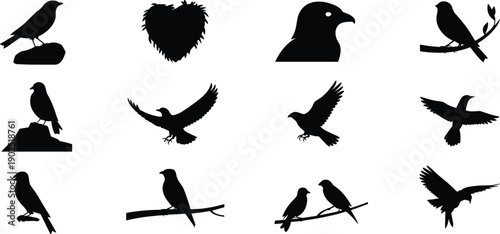 Bird silhouettes collection isolated on white background, black avian icons including eagle and crow in various poses