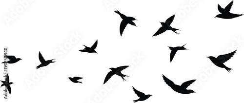 Black bird silhouettes flying isolated on white background, avian flock in motion, minimalist wildlife illustration for creative design