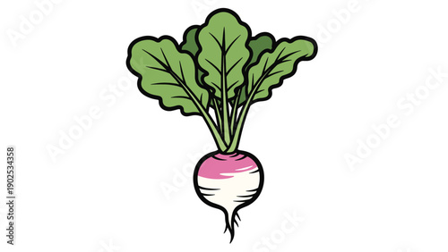 Fresh turnip or radish with its large green leaves shown as a whole root vegetable in a vibrant illustrative style.