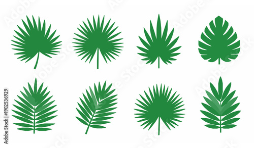 Minimal Green Palm Leaf Vector Collection for Nature and Wellness Design