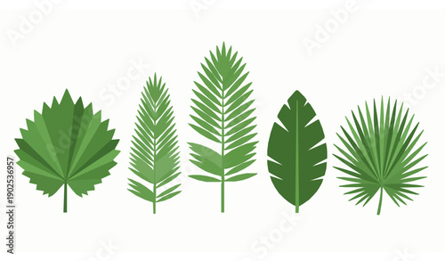 Tropical Green Palm Tree Leaf Vector Set Isolated for Nature Lifestyle Use